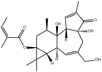 12-deoxyphorbol-13-angelate Structure