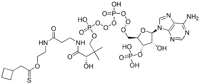 S-[2-[3-[[4-[[[(2R,3S,4R,5R)-5-(6-aminopurin-9-yl)-4-hydroxy-3-phosphonooxyoxolan-2-yl]methoxy-hydroxyphosphoryl]oxy-hydroxyphosphoryl]oxy-2-hydroxy-3,3-dimethylbutanoyl]amino]propanoylamino]ethyl] 2-cyclobutylethanethioate Structure