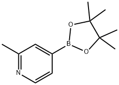 2-METHYLPYRIDINE-4-BORONIC ACID PINACOL ESTER Structure