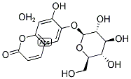 ESCULIN Structure