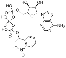 1-(2-NITROPHENYL)ETHYL ADENOSINE TRIPHOSPHATE Structure