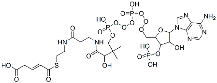 4-[2-[3-[[4-[[[5-(6-aminopurin-9-yl)-4-hydroxy-3-phosphonooxy-oxolan-2-yl]methoxy-hydroxy-phosphoryl]oxy-hydroxy-phosphoryl]oxy-2-hydroxy-3,3-dimethyl-butanoyl]amino]propanoylamino]ethylsulfanylcarbonyl]but-3-enoic acid Structure