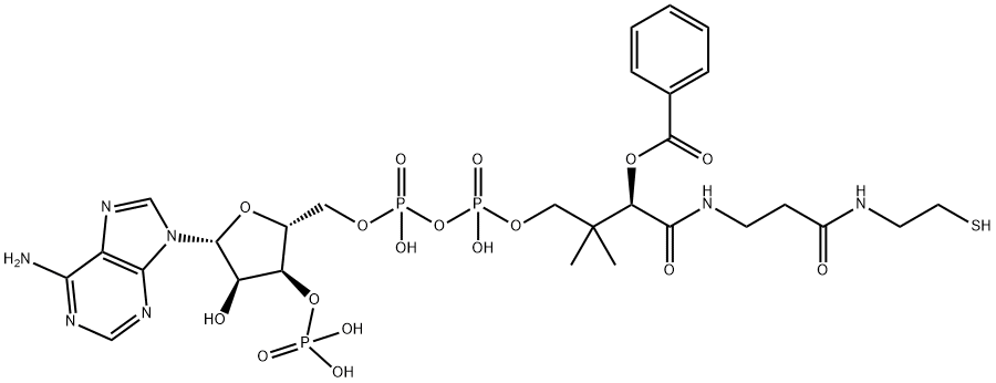 [(2R,3R,4R,5R)-5-(6-aminopurin-9-yl)-2-[[[[3-[2-(2-benzoylsulfanylethylcarbamoyl)ethylcarbamoyl]-3-hydroxy-2,2-dimethyl-propoxy]-hydroxy-phosphoryl]oxy-hydroxy-phosphoryl]oxymethyl]-4-hydroxy-oxolan-3-yl]oxyphosphonic acid 구조식 이미지