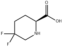 2-Piperidinecarboxylicacid,5,5-difluoro-,(2S)-(9CI) 구조식 이미지
