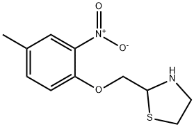 2-[(4-methyl-2-nitrophenoxy)methyl]-1,3-thiazolane Structure