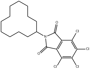 3,4,5,6-tetrachloro-N-cyclododecylphthalimide Structure
