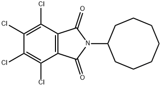 3,4,5,6-tetrachloro-N-cyclooctylphthalimide  Structure