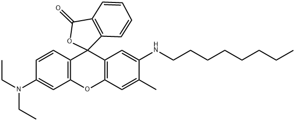 6'-(diethylamino)-3'-methyl-2'-(octylamino)spiro[isobenzofuran-1(3H),9'-[9H]xanthene]-3-one 구조식 이미지