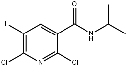 2,6-DICHLORO-5-FLUORO-N-ISOPROPYLNICOTINAMIDE Structure