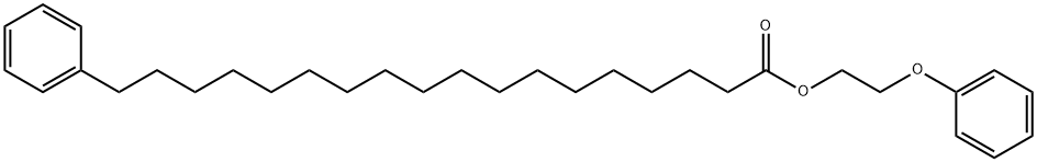 2-phenoxyethyl 18-phenyloctadecanoate 구조식 이미지