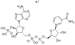 NADP MONOPOTASSIUM SALT Structure