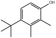 4-(1,1-Dimethylethyl)-2,3-dimethylphenol 구조식 이미지