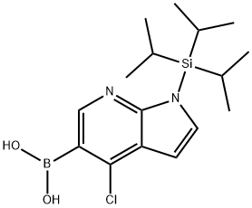 Boronic acid, [4-chloro-1-[tris(1-methylethyl)silyl]-1H-pyrrolo[2,3-b]pyridin-5-yl]- (9CI) 구조식 이미지