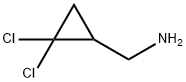 (2,2-DICHLOROCYCLOPROPYL)METHYLAMINE Structure