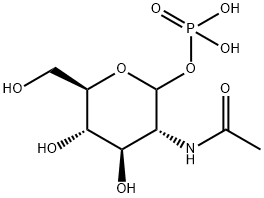 N-아세틸글루코사민-1-포스페이트 구조식 이미지
