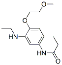 N-[3-(Ethylamino)-4-(2-methoxyethoxy)phenyl]propanamide 구조식 이미지