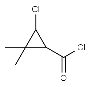 Cyclopropanecarbonyl chloride, 3-chloro-2,2-dimethyl- (9CI) 구조식 이미지