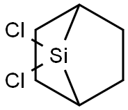 7,7-Dichloro-7-silabicyclo[2.2.1]heptane 구조식 이미지
