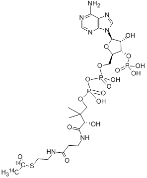 ACETYL COENZYME A, [ACETYL-1,2-14C] Structure