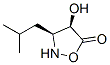 5-Isoxazolidinone, 4-hydroxy-3-(2-methylpropyl)-, (3S,4R)- (9CI) 구조식 이미지