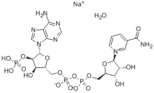 β-Nicotinamide adenine dinucleotide phosphate sodium salt Structure