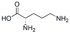 Ornithine Structure