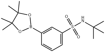 3-(tert-부틸아미노)술포닐-페닐보론산피나콜에스테르 구조식 이미지