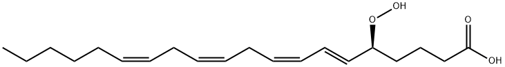 5(S)-HPETE Structure