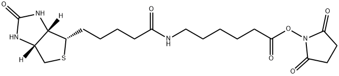72040-63-2 Succinimidyl 6-(biotinamido)hexanoate