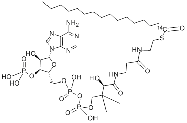 PALMITOYL COENZYME A, [PALMITOYL-1-14C] Structure