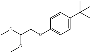 1-(2,2-Dimethoxyethoxy)-4-(1,1-dimethylethyl)benzene Structure