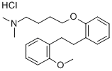 1-부탄아민,N,N-디메틸-4-(2-(2-(2-메톡시페닐)에틸)페녹시)-,히드로클로라이드 구조식 이미지