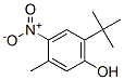 3-Methyl-6-tert-butyl-4-nitrophenol Structure