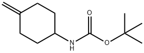 725255-70-9 Carbamic acid, (4-methylenecyclohexyl)-, 1,1-dimethylethyl ester (9CI)