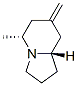 Indolizine, octahydro-5-methyl-7-methylene-, (5R,8aS)- (9CI) Structure