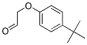 [4-(1,1-디메틸에틸)페녹시]아세트알데히드 구조식 이미지