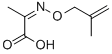 Propanoic acid, 2-[[(2-methyl-2-propenyl)oxy]imino]- (9CI) Structure