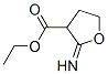 3-푸란카르복실산,테트라히드로-2-이미노-,에틸에스테르(9CI) 구조식 이미지