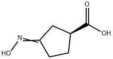 Cyclopentanecarboxylic acid, 3-(hydroxyimino)-, (S)- (9CI) Structure