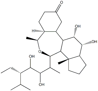 Homobrassinolide 구조식 이미지