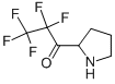 1-Propanone, 2,2,3,3,3-pentafluoro-1-(2-pyrrolidinyl)- (9CI) 구조식 이미지