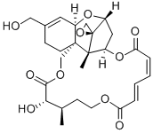 16-HYDROXYVERRUCARINA Structure