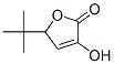 2(5H)-Furanone, 5-(1,1-dimethylethyl)-3-hydroxy- (9CI) Structure