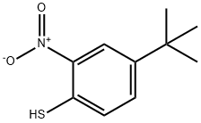 4-TERT-BUTYL-2-NITROBENZENETHIOL Structure