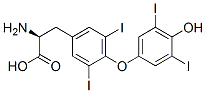 Thyroxine 구조식 이미지