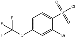 2-Bromo-4-(trifluoromethoxy)benzene-1-sulfonyl chloride 구조식 이미지