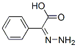 Benzeneacetic acid, alpha-hydrazono-, (Z)- (9CI) Structure