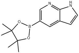 7-Azaindole-5-boronic acid pinacol ester 구조식 이미지