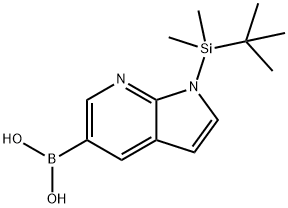 1-(TERT-BUTYL-DIMETHYL-SILANYL)-1H-PYRROLO[2,3-B]피리딘-5-YL보론산 구조식 이미지