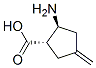 Cyclopentanecarboxylic acid, 2-amino-4-methylene-, (1S,2S)- (9CI) Structure